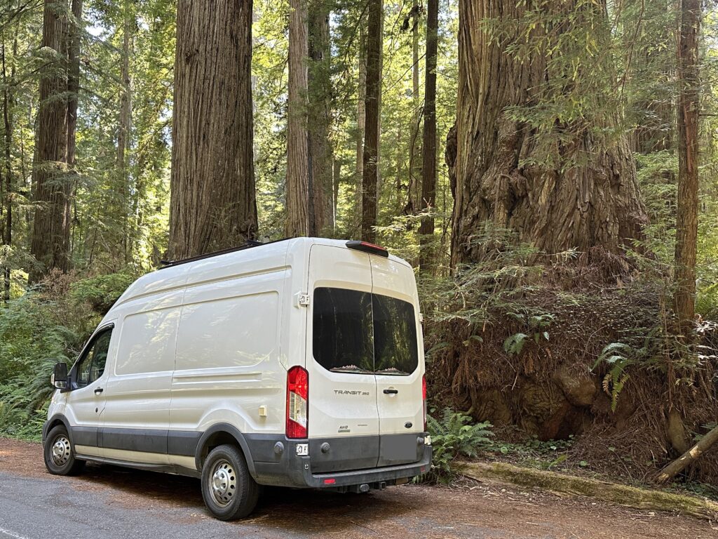 Van in the redwoods